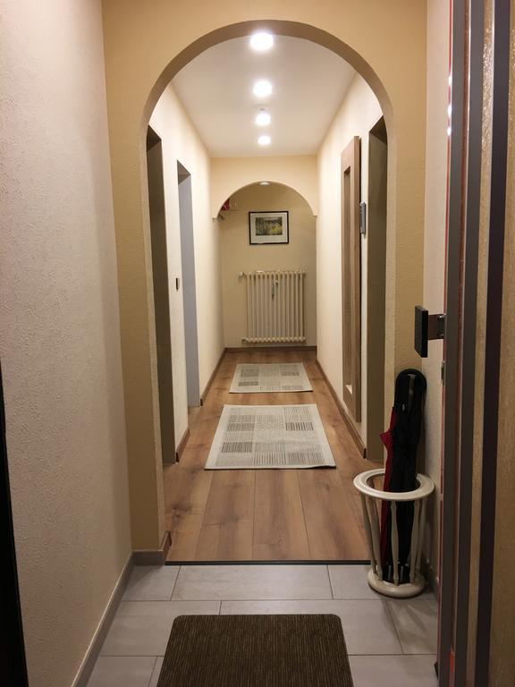 Large Wuerzburg Apartment Dış mekan fotoğraf