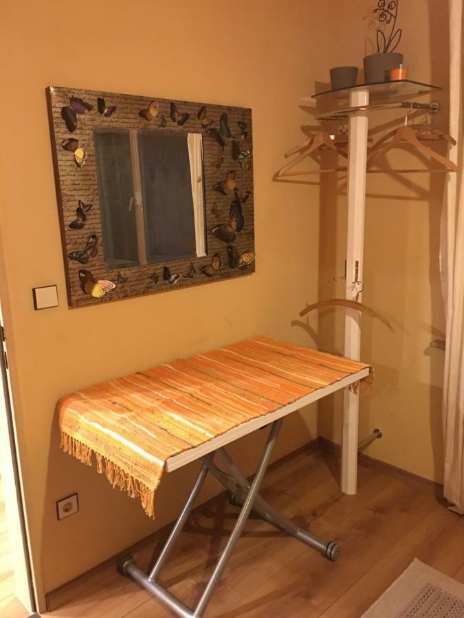Large Wuerzburg Apartment Dış mekan fotoğraf